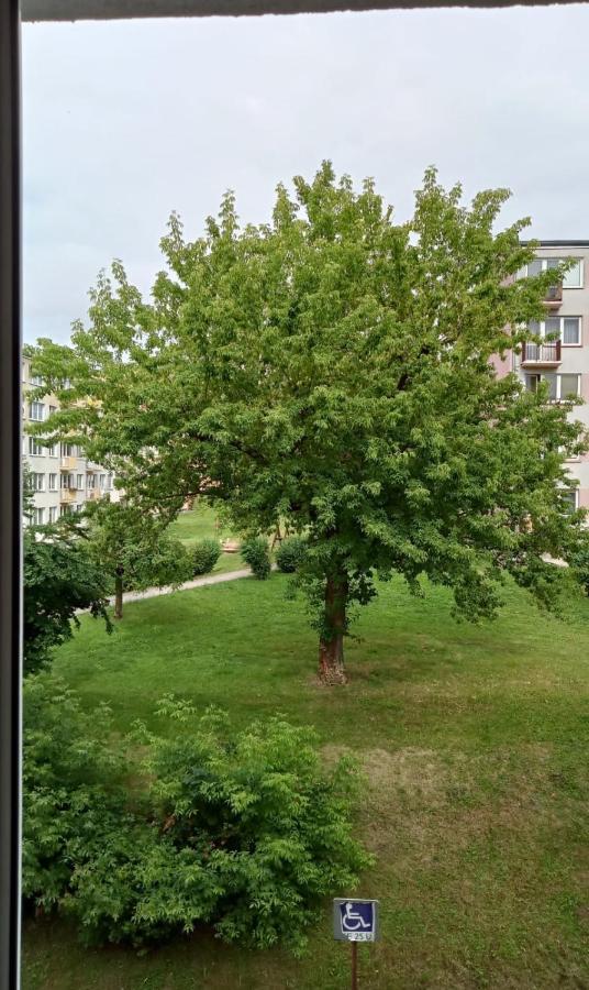Apartament Mazury Ketrzyn Exterior photo