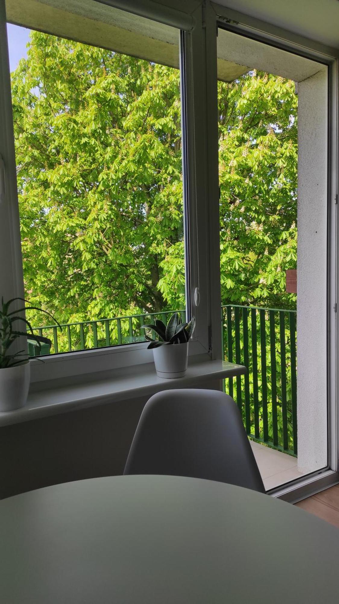 Apartament Mazury Ketrzyn Exterior photo